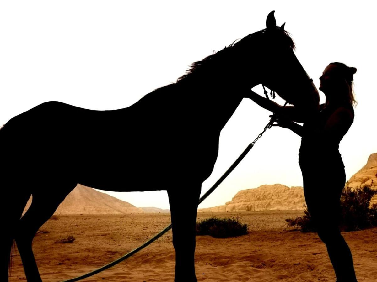 Wadi Rum Bedouin Tour With A Camp Exteriör bild
