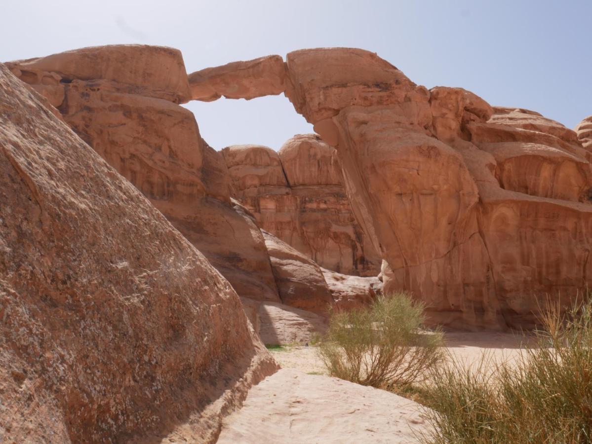 Wadi Rum Bedouin Tour With A Camp Exteriör bild
