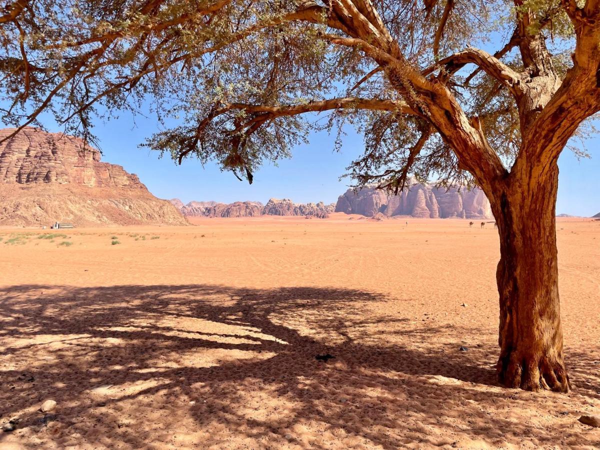 Wadi Rum Bedouin Tour With A Camp Exteriör bild