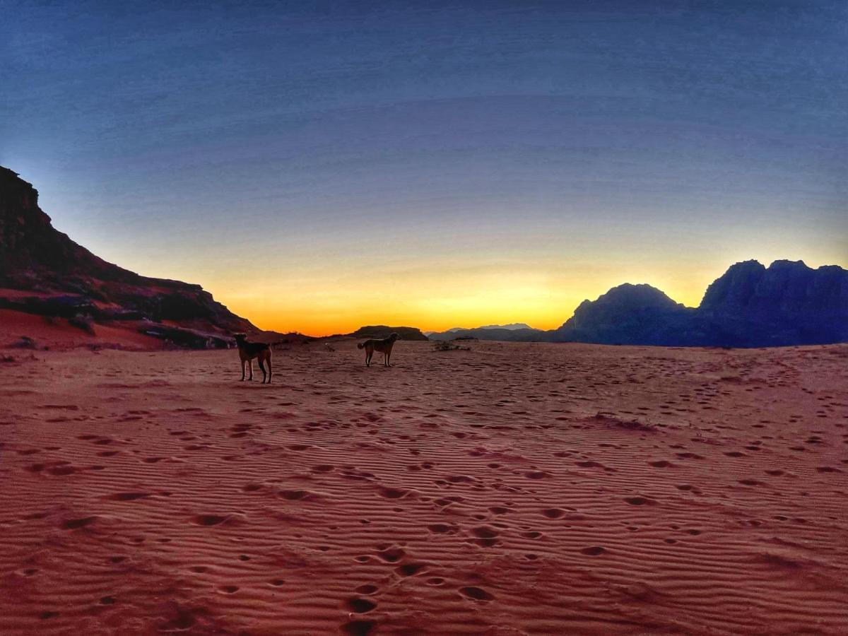 Wadi Rum Bedouin Tour With A Camp Exteriör bild