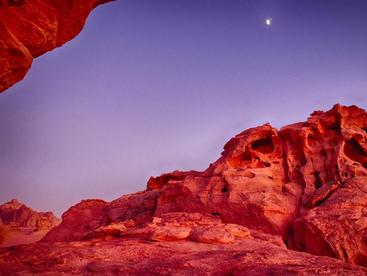 Wadi Rum Bedouin Tour With A Camp Exteriör bild