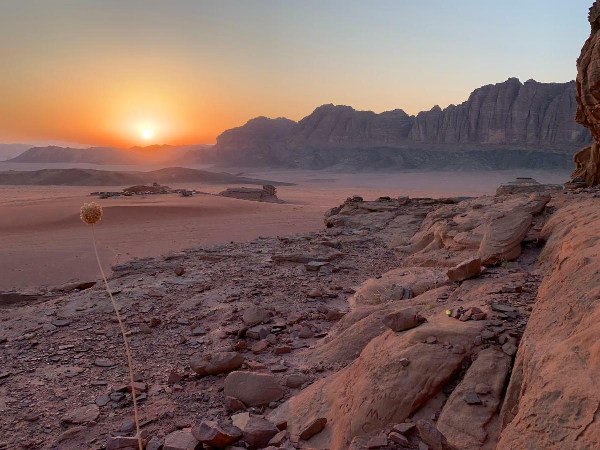 Wadi Rum Bedouin Tour With A Camp Exteriör bild